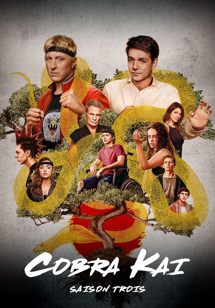 Saison 3 Cobra Kai streaming où regarder les épisodes?